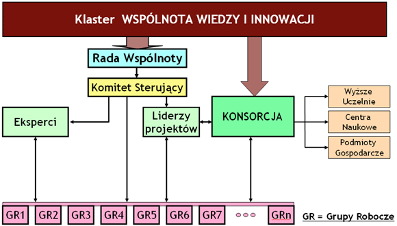 Struktura organizacyjna Klastra